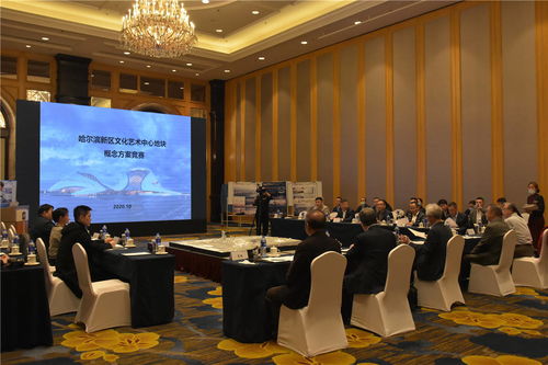 哈爾濱新區文化藝術中心項目建設邁出重要步伐 規劃設計招標圓滿完成，文化藝術交流活動蓄勢待發